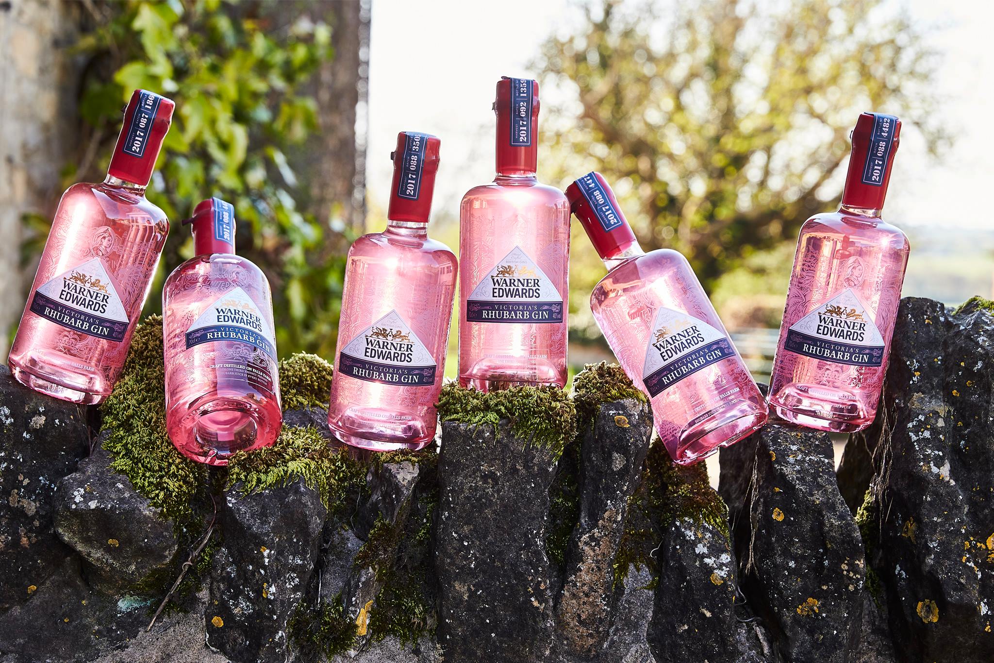 Warner Edwards Victoria´s Rhubarb Gin 40 GIN VIN MED MERE .DK